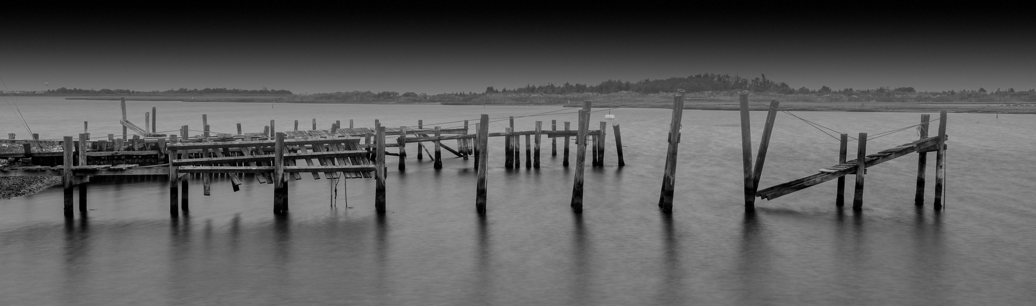 Skimming atop the waves.